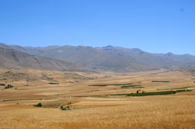 Endlose Getreidefelder in Ostanatolien