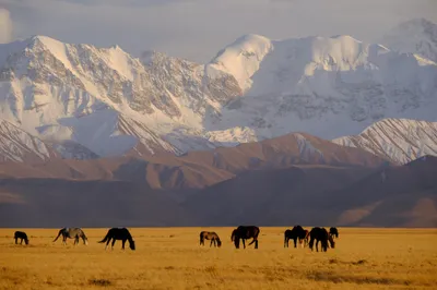 Pamir-Gebirge vom Alay-Tal aus