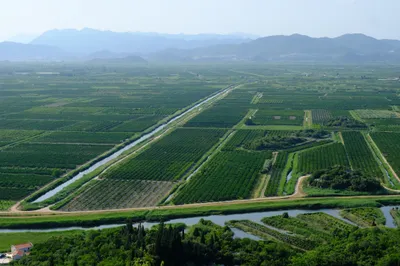 Fruchtbares Neretva-Delta