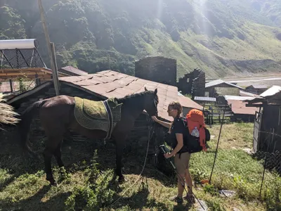 Pferde, die Lastesel Georgiens